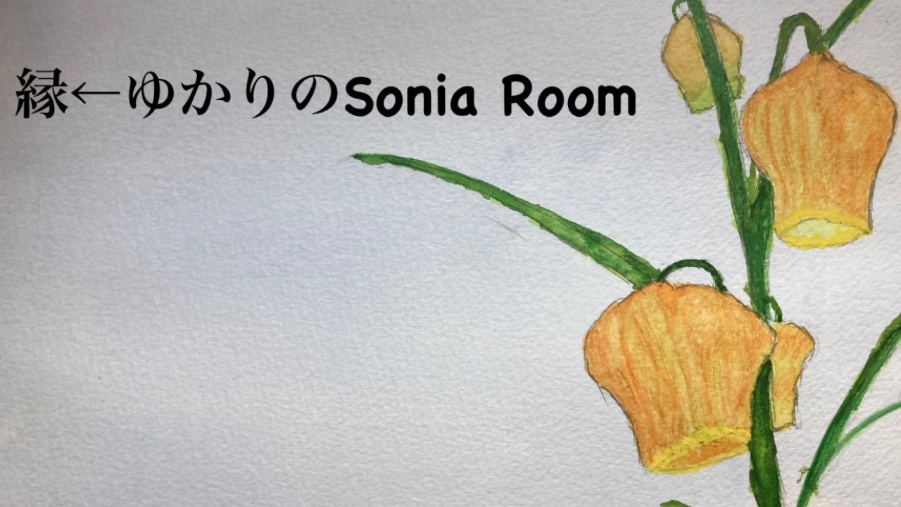 縁←ゆかりのSonia Room